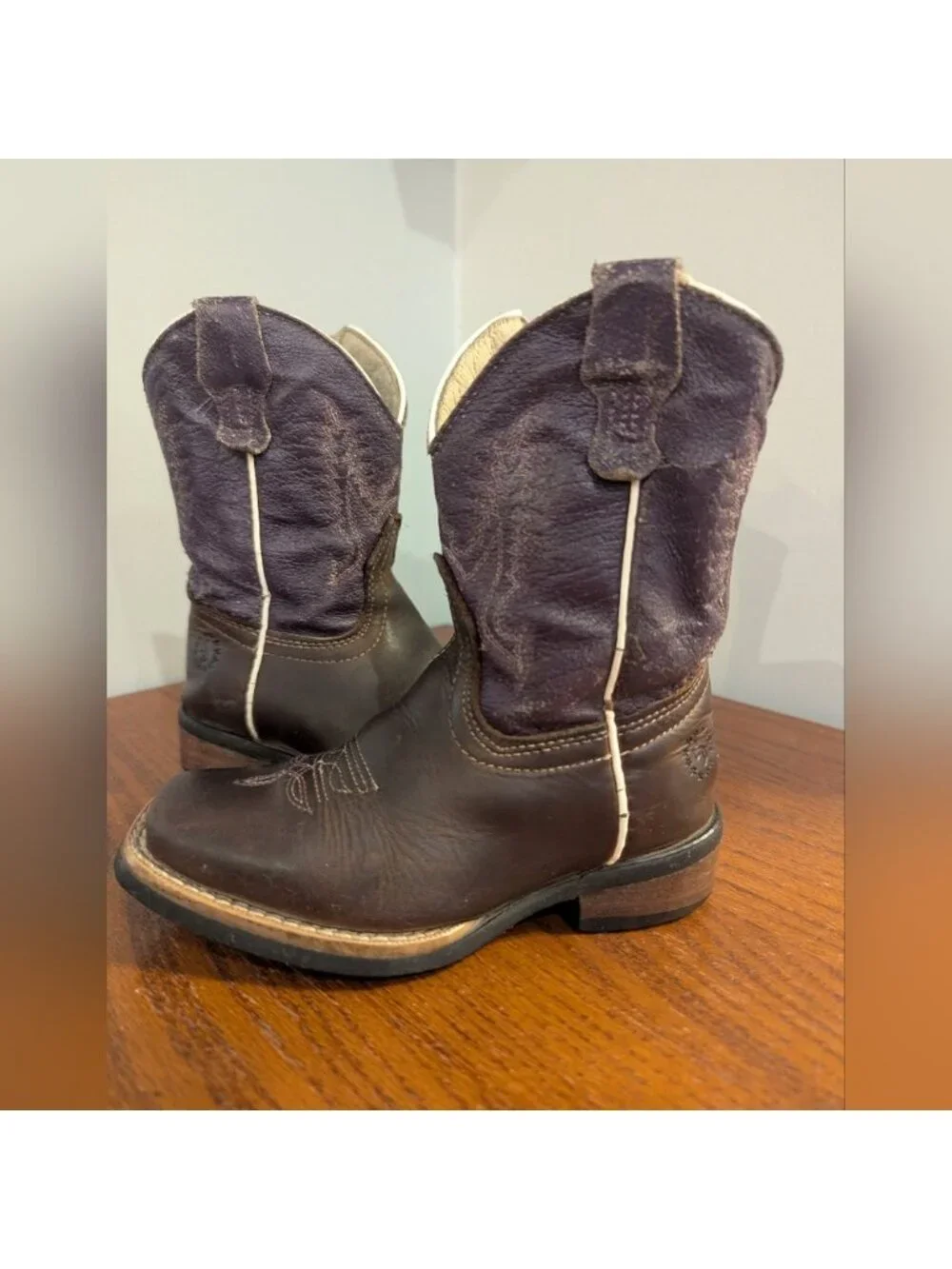 Cowgirl Boots Caballo Dorado Western boots Kids Sz 10 purple & brown leather
